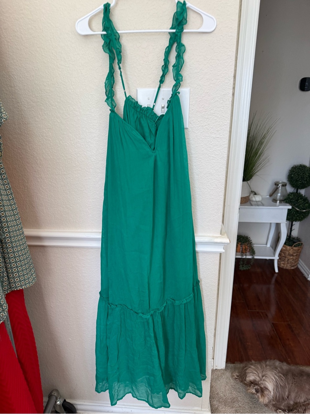XXS Anthropologie Sleeveless Chiffon
Midi Dress Maxi NWT - Picture 3 of 8